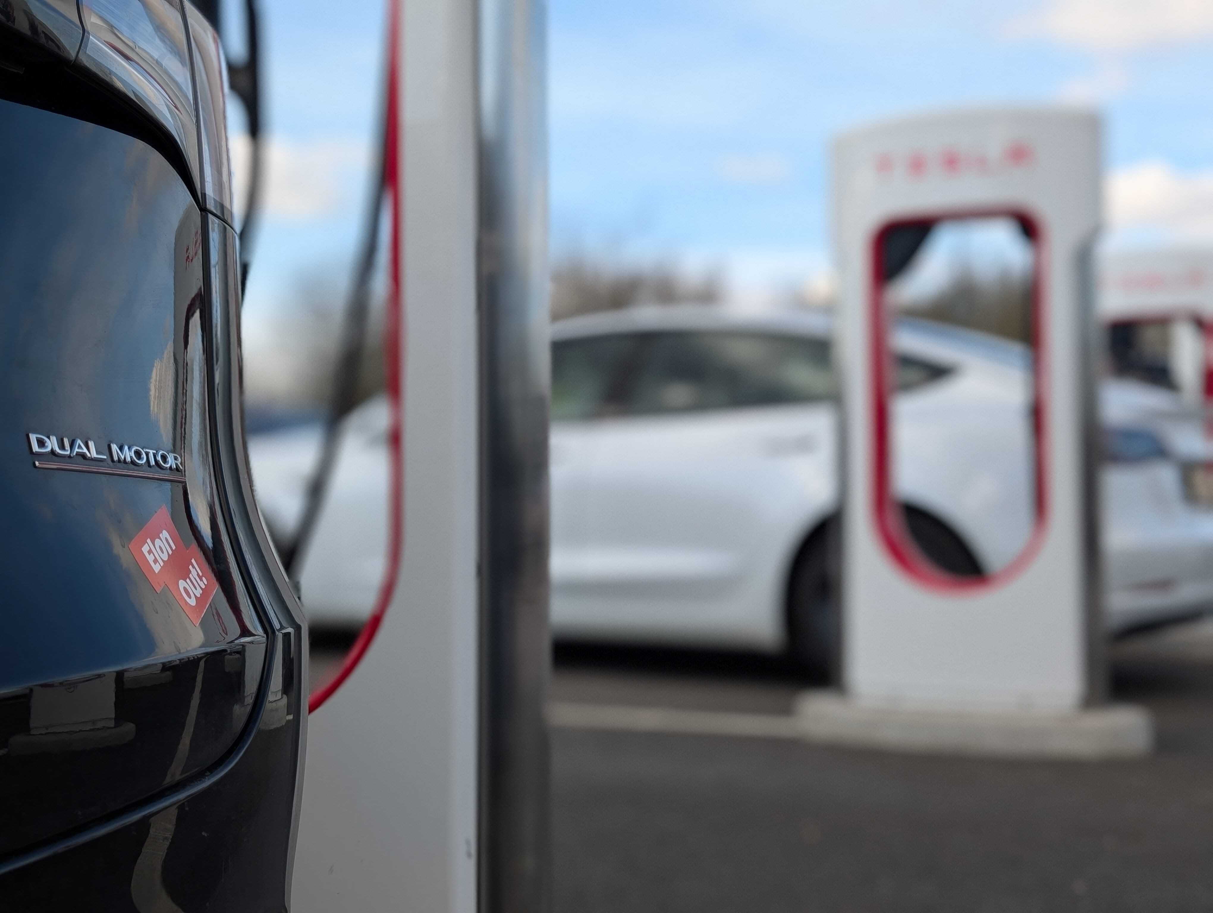 Elon Out sticker